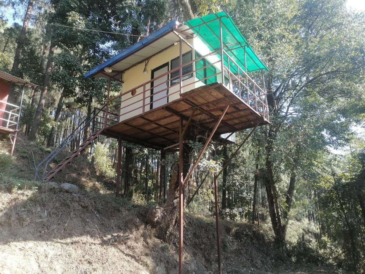 Jungle Crown Organic Homestay Nagarkot