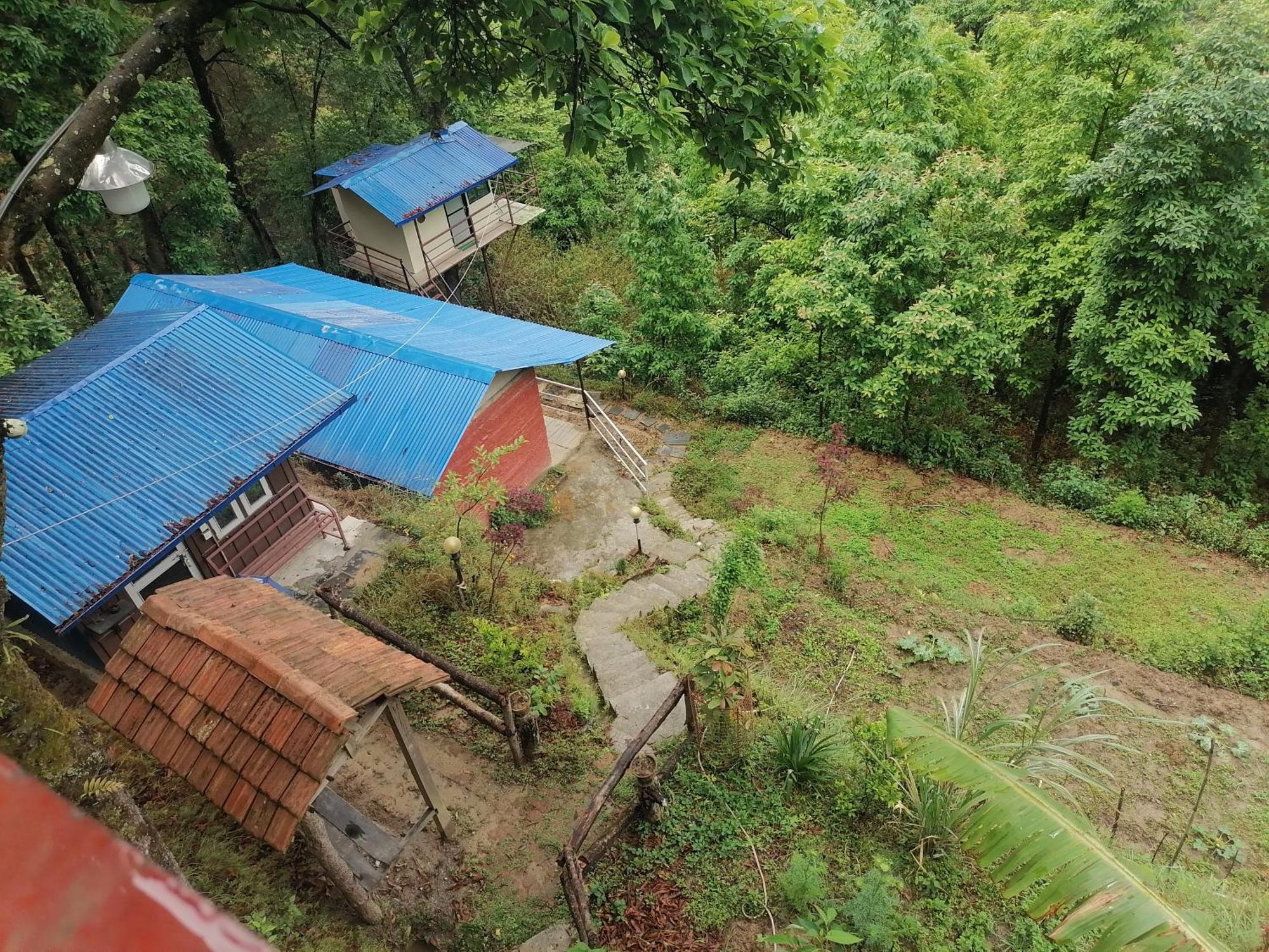 Jungle Crown Organic Homestay *