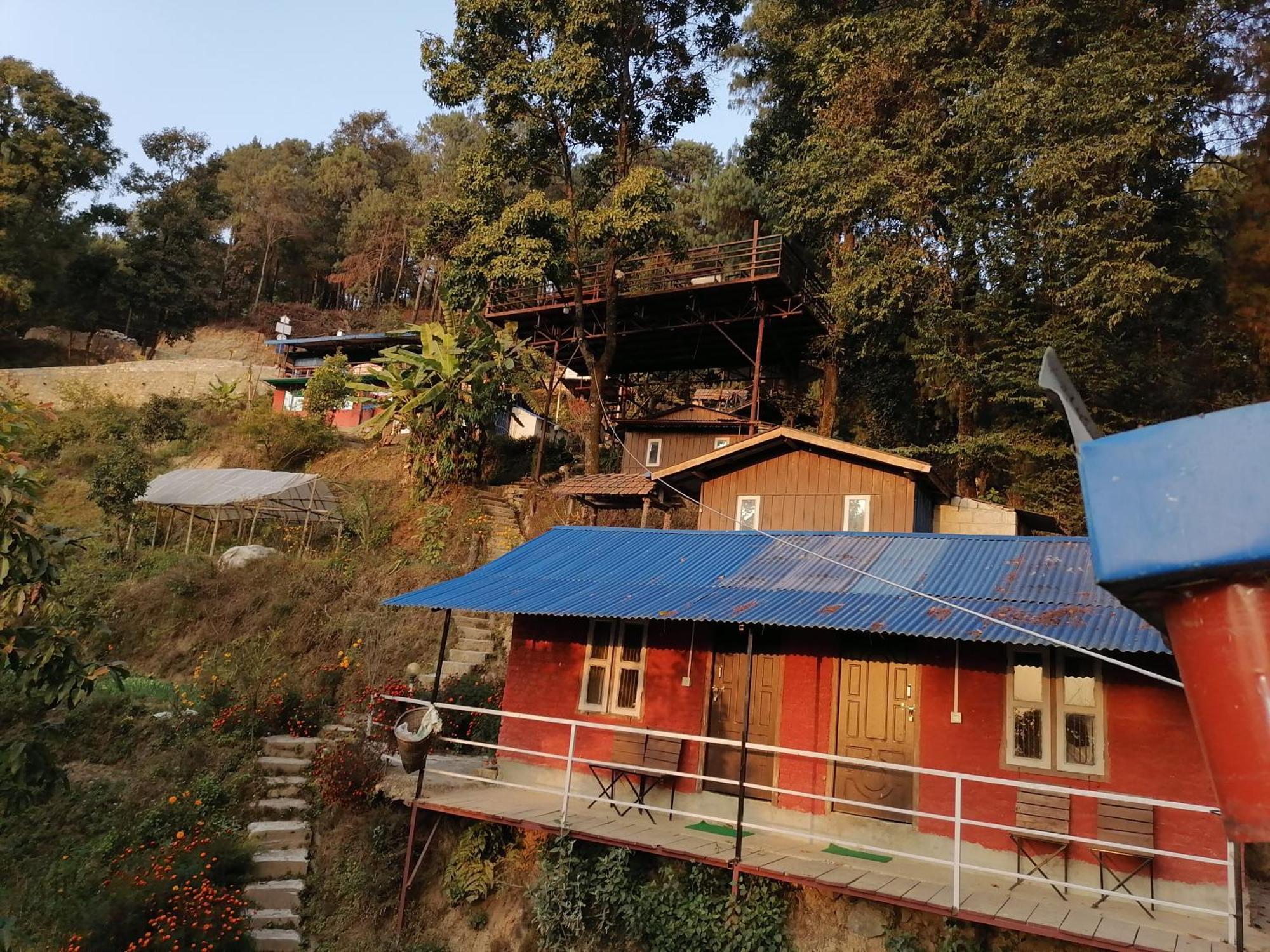 Homestay Jungle Crown Organic *