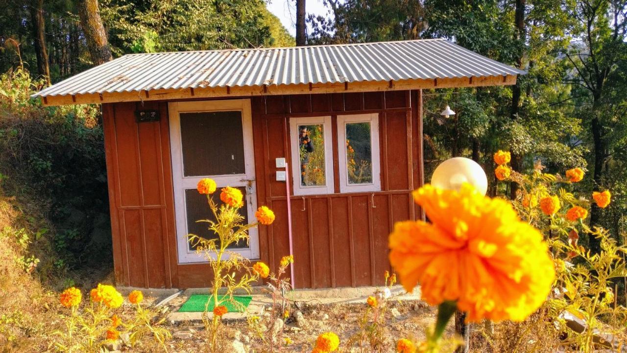 Homestay Jungle Crown Organic Nagarkot