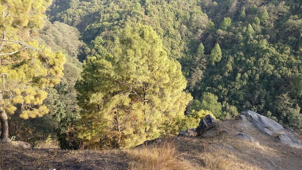 Jungle Crown Organic Homestay Nagarkot