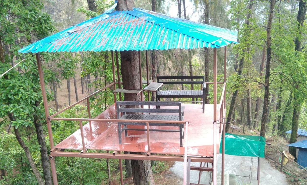 Homestay Jungle Crown Organic Nagarkot