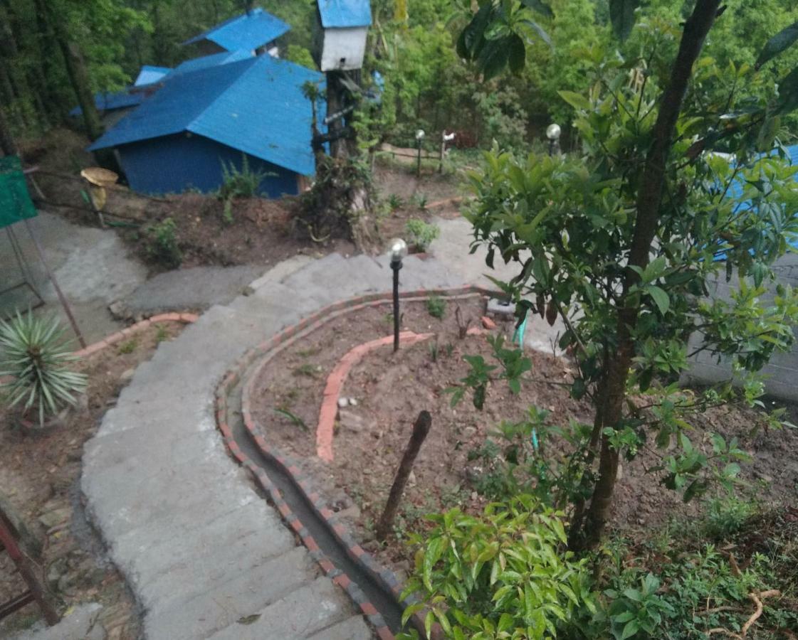 Homestay Jungle Crown Organic Nagarkot
