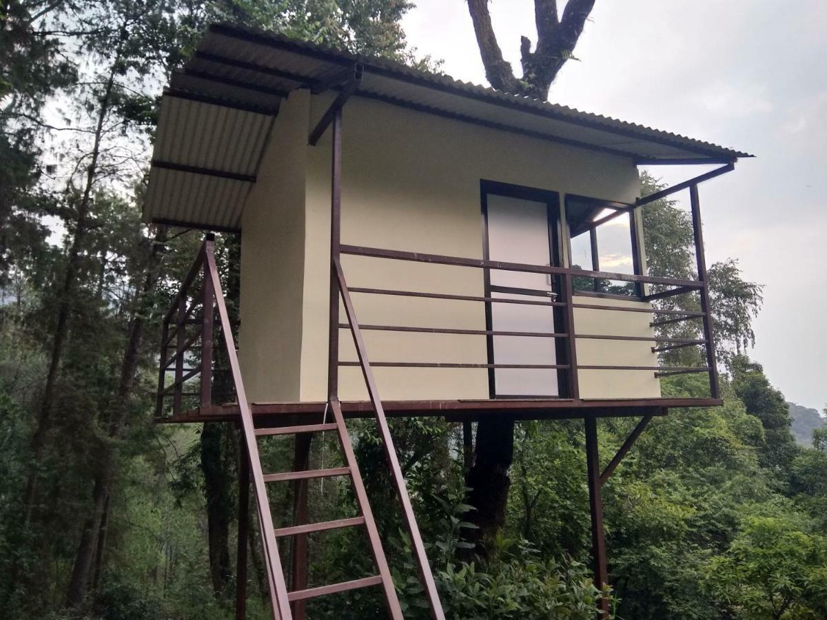 Jungle Crown Organic Nagarkot