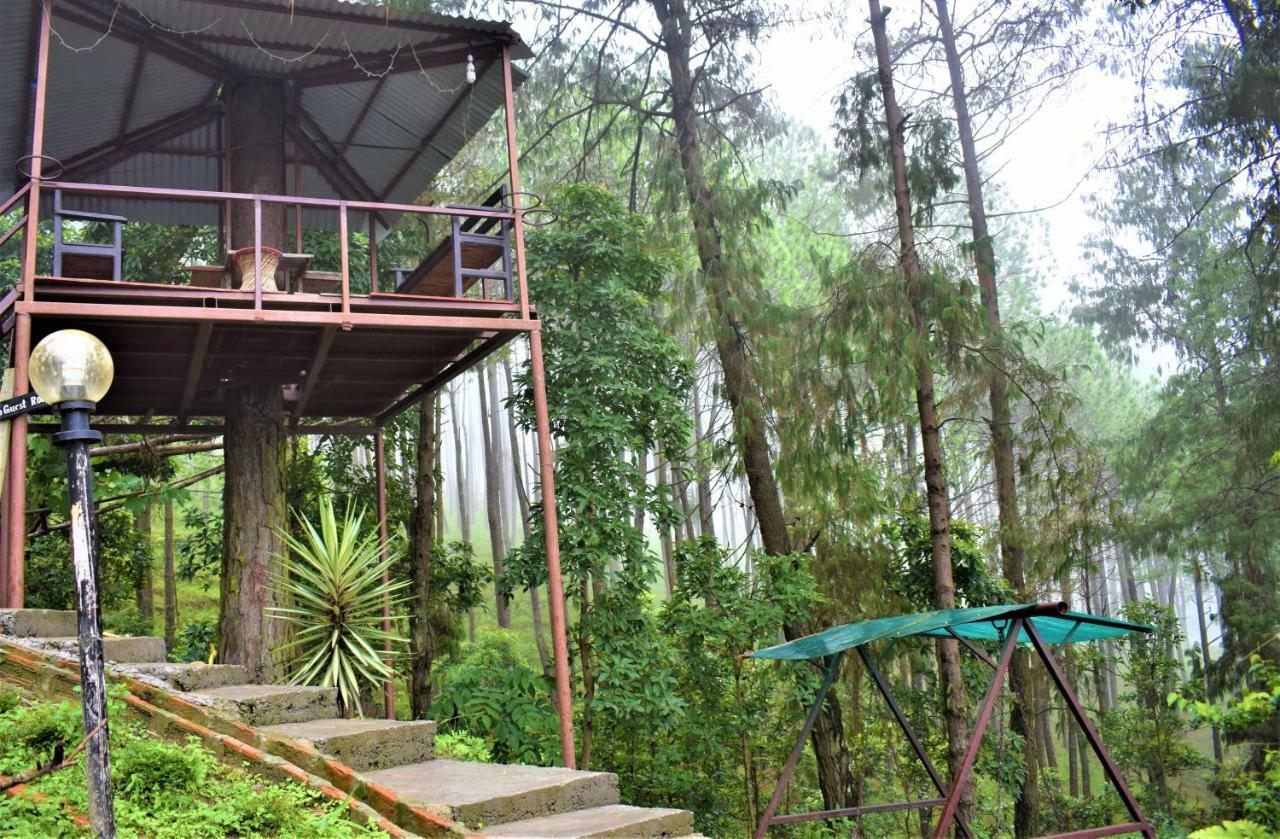 Jungle Crown Organic Nagarkot