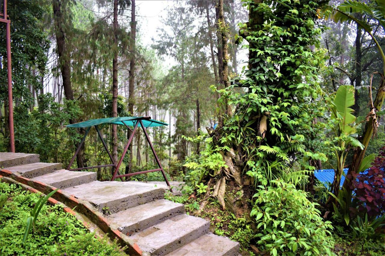 Jungle Crown Organic Nagarkot