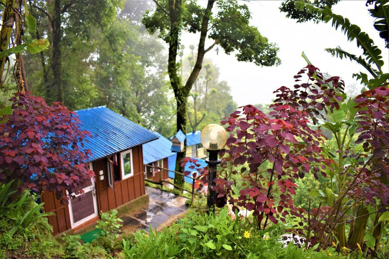 Homestay Jungle Crown Organic *