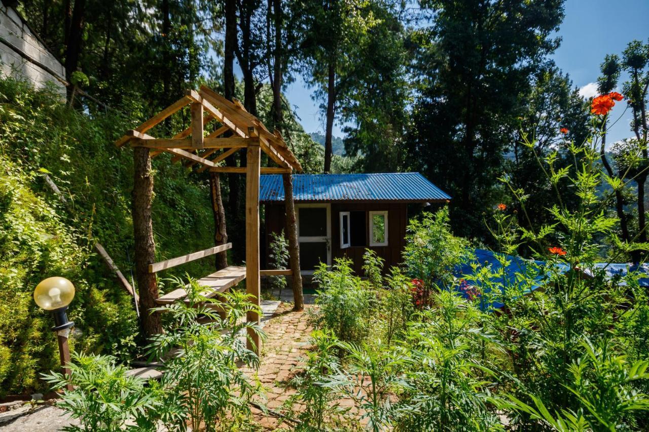 Homestay Jungle Crown Organic