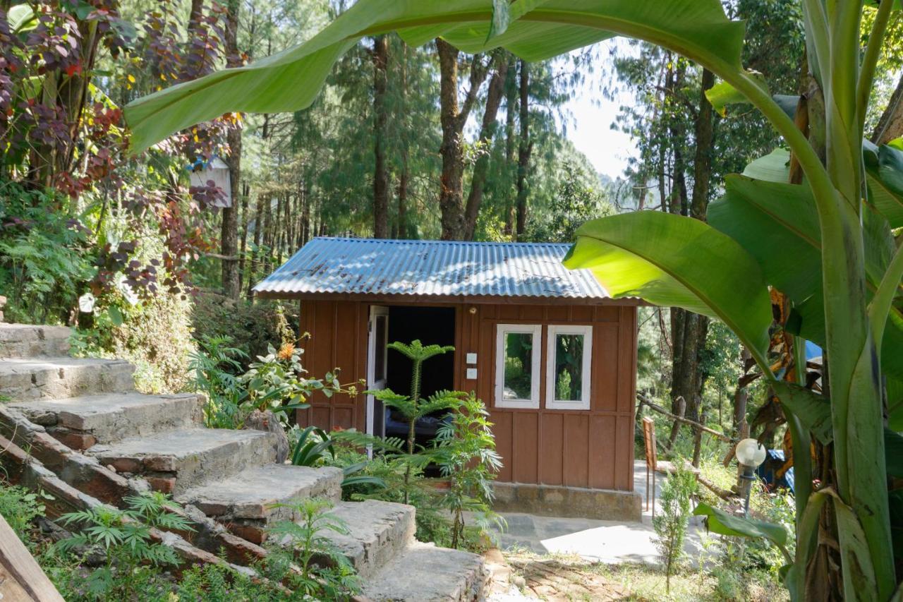 Jungle Crown Organic Nagarkot